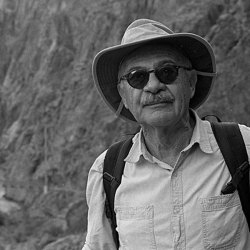 An image of Stephen Arkin
